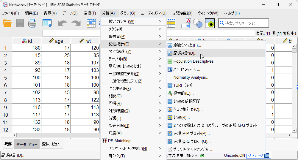 SPSS 記述統計の設定画面