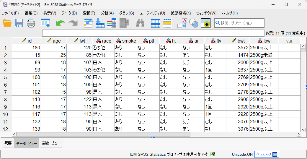Excelデータを読み込んだSPSSデータセット