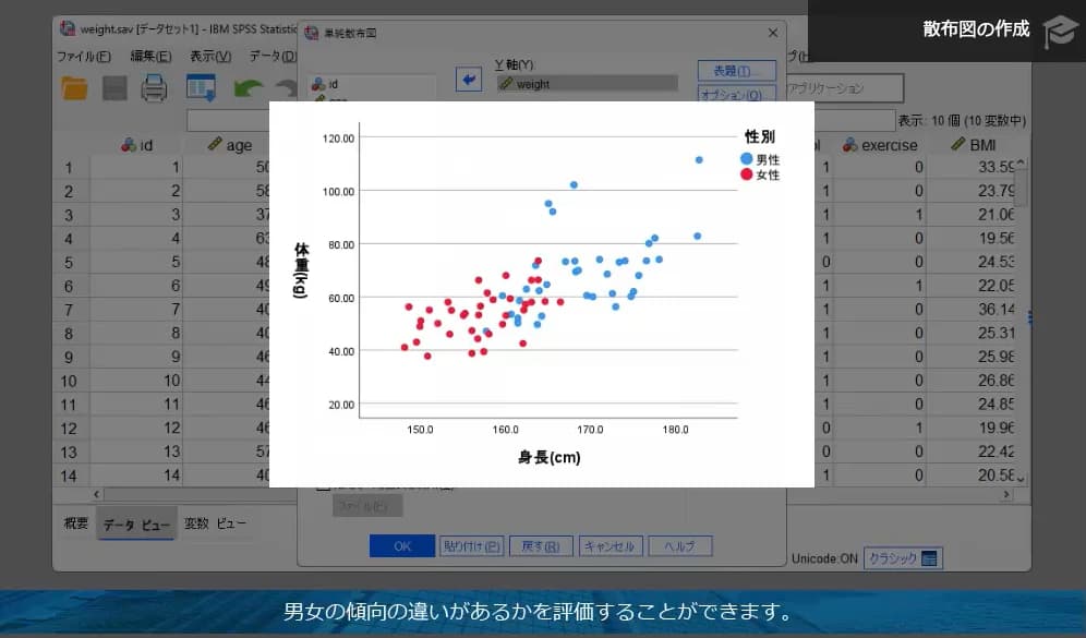 散布図で関係性を視覚化