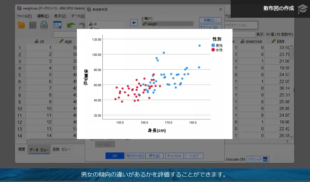 散布図で関係性を視覚化