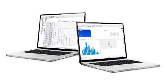 SPSS version 29.0.1