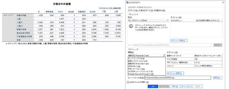 SPSS出力